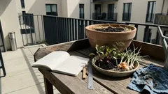 Mischkultur im Gemüsebeet: Mit den richtigen Pflanznachbarn bis zu 30 % mehr Ertrag