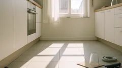 Eidechse in der Wohnung: so bekommst du sie schnell und tierfreundlich wieder raus